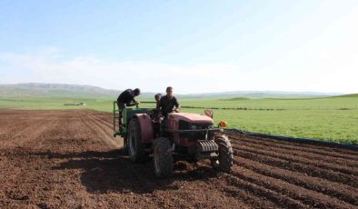 Siirt’te patates tohumu deneme ekimi yapıldı