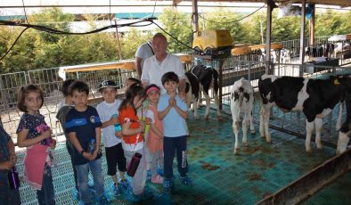 Kütahyalı minik öğrenciler, sütün önemini çiftlikte öğrendi