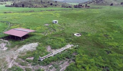 Muğla’da 4 yılda 19 bin dekar mera ıslahı yapıldı